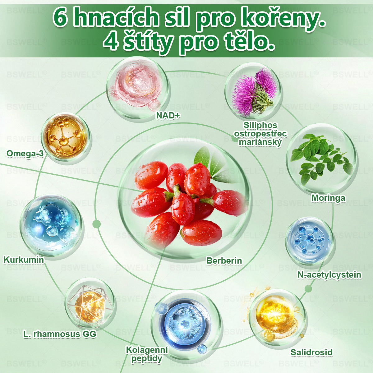 🎊BSWELL® Nano mikrovpichová zeštíhlující náplast✨(Stačí použít pouze jednou denně – viditelné změny již za 28 dní) ✅Bezbolestná, dlouhotrvající, zaměřená na řešení cukrovky, obezity a kardiovaskulárních onemocnění