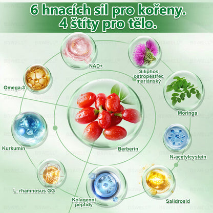 🎊BSWELL® Nano mikrovpichová zeštíhlující náplast✨(Stačí použít pouze jednou denně – viditelné změny již za 28 dní) ✅Bezbolestná, dlouhotrvající, zaměřená na řešení cukrovky, obezity a kardiovaskulárních onemocnění