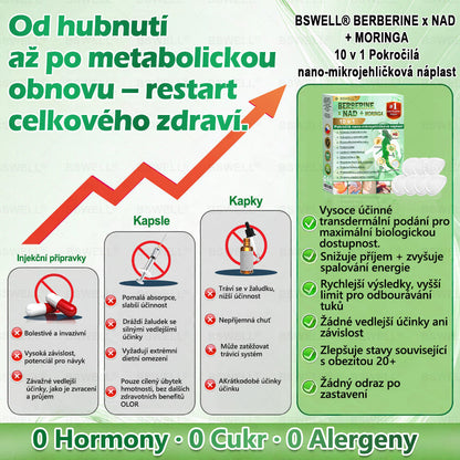 🎊BSWELL® Nano mikrovpichová zeštíhlující náplast✨(Stačí použít pouze jednou denně – viditelné změny již za 28 dní) ✅Bezbolestná, dlouhotrvající, zaměřená na řešení cukrovky, obezity a kardiovaskulárních onemocnění